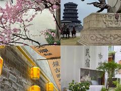-千年银杏谷文化旅游区