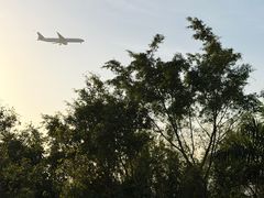 -宝安西湾红树林湿地公园