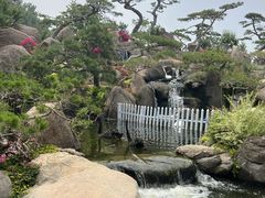 -罗红摄影艺术馆