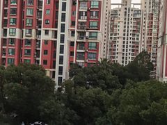 -世纪同乐绿地世纪城二期