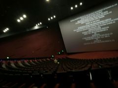 -悦江新远影城IMAX