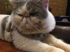 -四季暖堂·融合江浙菜(N1955创业园店)