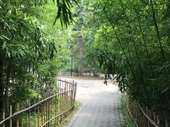 -紫竹院公园冰场