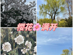 -中山公园
