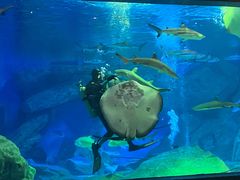 -海合安成都极地海洋公园