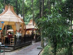 -二荆条·蜀鲜汇城市森林火锅