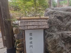 -灵隐飞来峰景区