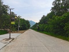 -青峰峡国家森林公园