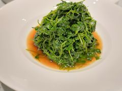 -沪碟·精菜坊(闵行店)