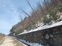 -红光山