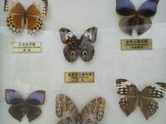 蝴蝶谷-沈阳植物园