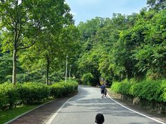 -火炉山森林公园