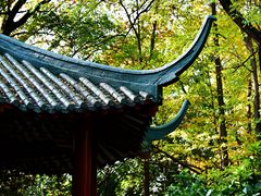 -中山公园