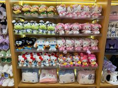 -安吉Hello Kitty乐园