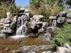 -南宫五洲植物乐园