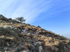 -灵山