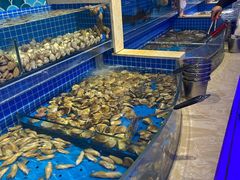 水产区-乔哥铭洋海鲜自助(皇城恒隆广场店)