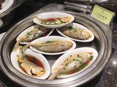 -温州王朝大酒店-自助餐厅