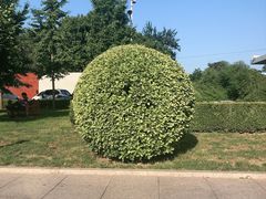 -北京德尔康尼骨科医院