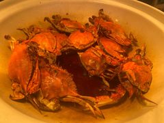 -嘉定凯悦·咖啡厅