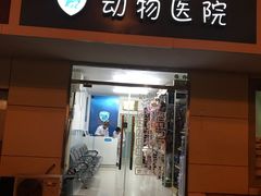 -中农大我爱我爱24h动物医院·中医针灸·猫专科·骨科医疗中心(双井店)