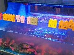 -辣螃铠盆盆蟹大排档(海昌店)