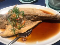 豉油糖东海黄鱼-南乡·广东顺德菜(苏宁广场B区店)