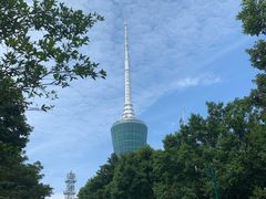 -梧桐山风景名胜区