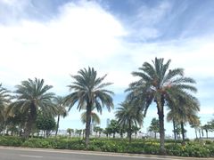 -海沧湾公园