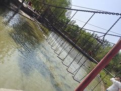-杨柳青庄园