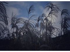-会稽山峡洞漂流-上青古道