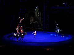 -珠海横琴长隆《卡卡虎奇遇记》