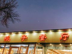 -桃子餐厅·天津菜(红星路直营店)