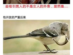 -红房子西菜馆(淮海中路店)