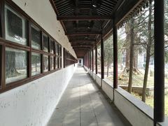 -苏州文庙(姑苏区)