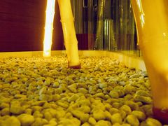 -上海滴水湖皇冠假日酒店