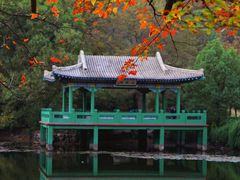 -灵谷景区
