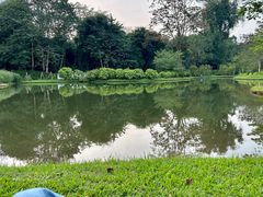 -中国科学院西双版纳热带植物园