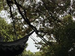 -汇龙潭