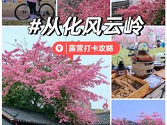 -风云岭森林公园