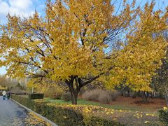 -长春公园(普阳街道)