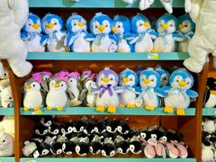 -太平洋海底世界