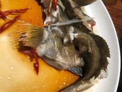 活黄鱼-海味当家·蒸锅海鲜(星海公园店)