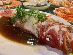 东星斑-盛港湾海鲜食府(黄沙店)