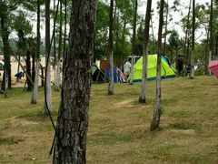 -瑶湖郊野森林公园