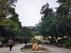 -火炉山森林公园
