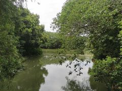 -同里国家湿地公园