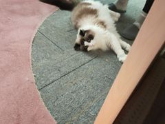 -零纪元VR体验馆·桌游(黄浦店)