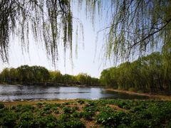 -秀水公园