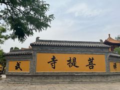 -大锅强·蒸海鲜青岛菜(吾悦广场店)